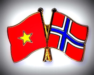 Vietnam-Norway 8th political consultation at deputy foreign ministerial level opens - ảnh 1